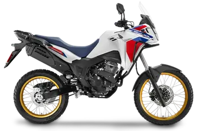 Sahara 300